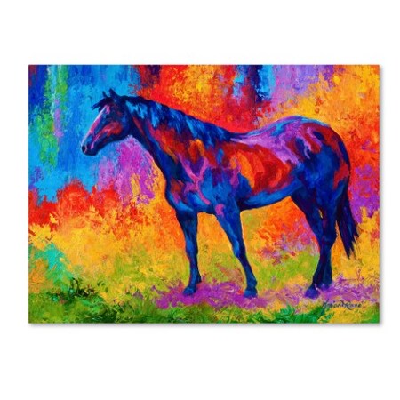 Trademark Fine Art Marion Rose 'Bay Mare III' Canvas Art, 35x47 ALI7682-C3547GG